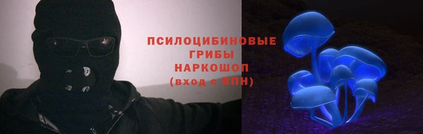 стафф Алексин