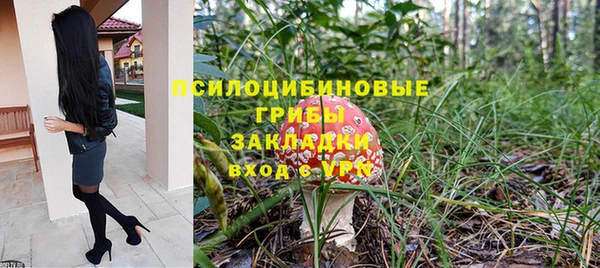 стафф Алексин